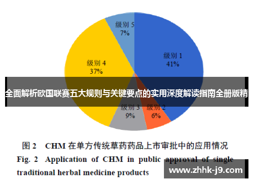 全面解析欧国联赛五大规则与关键要点的实用深度解读指南全册版精