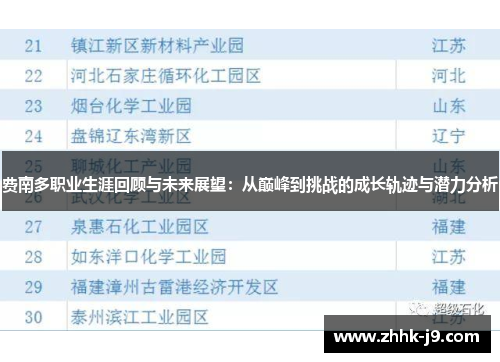 费南多职业生涯回顾与未来展望：从巅峰到挑战的成长轨迹与潜力分析