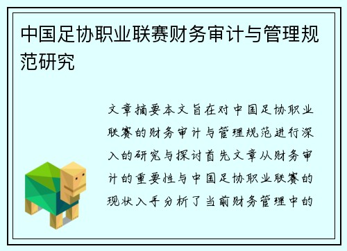 中国足协职业联赛财务审计与管理规范研究 中国足协职业联赛财务审计与管理规范研究